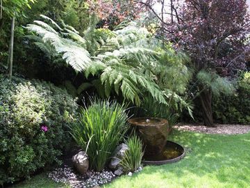 place photo 24