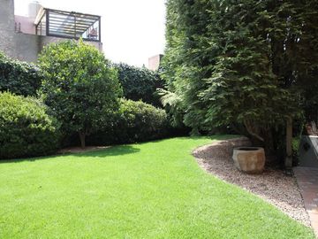 place photo 28