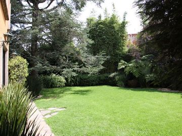 place photo 31