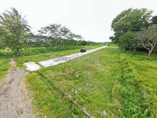 place photo 4