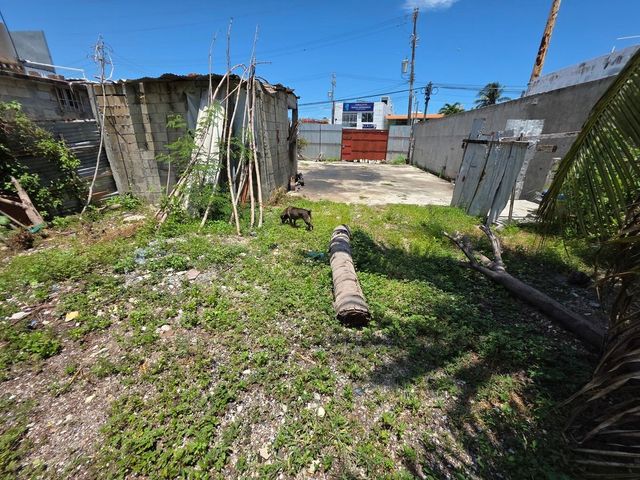 place photo 13