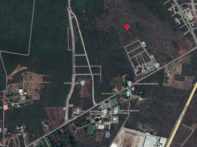place photo 4