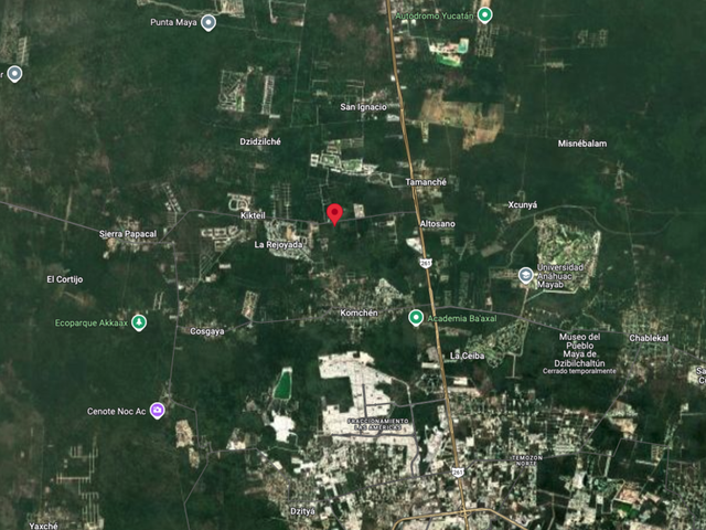 place photo 6