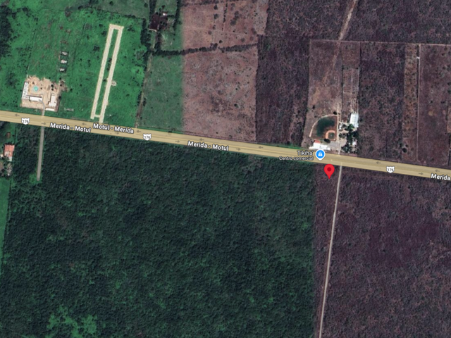 place photo 3