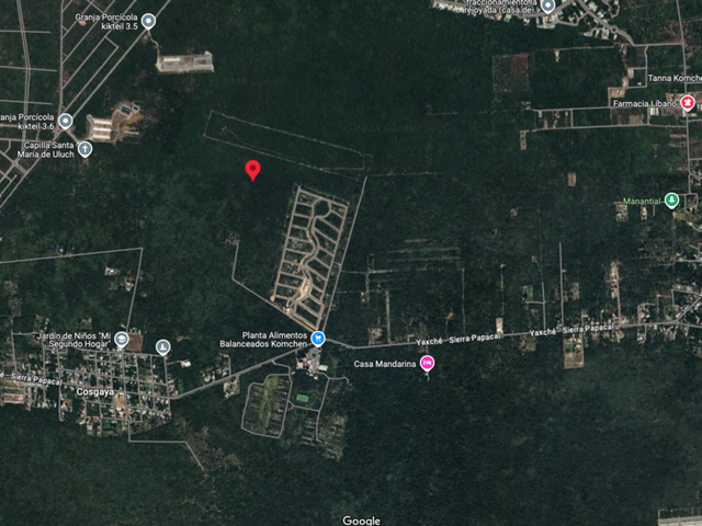 place photo 3