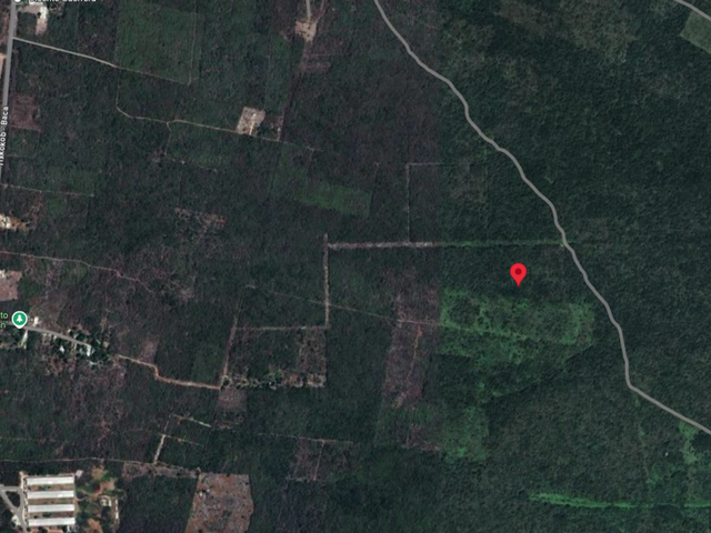 place photo 4