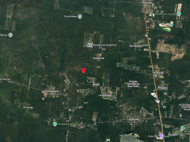 place photo 5