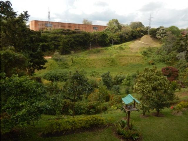 place photo 36