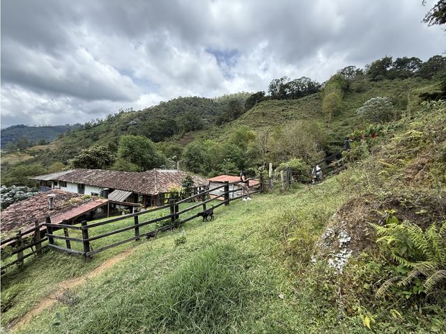 place photo 42