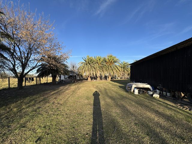 place photo 11