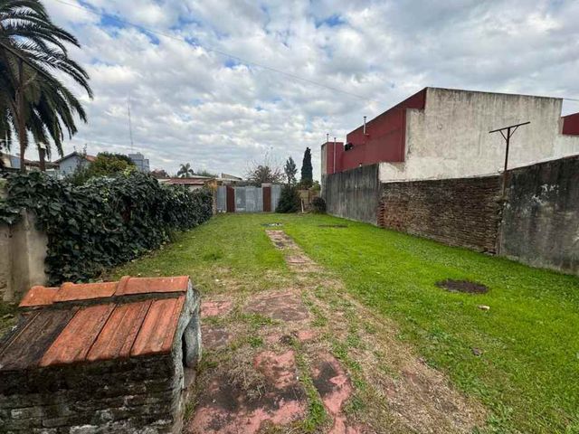 place photo 15