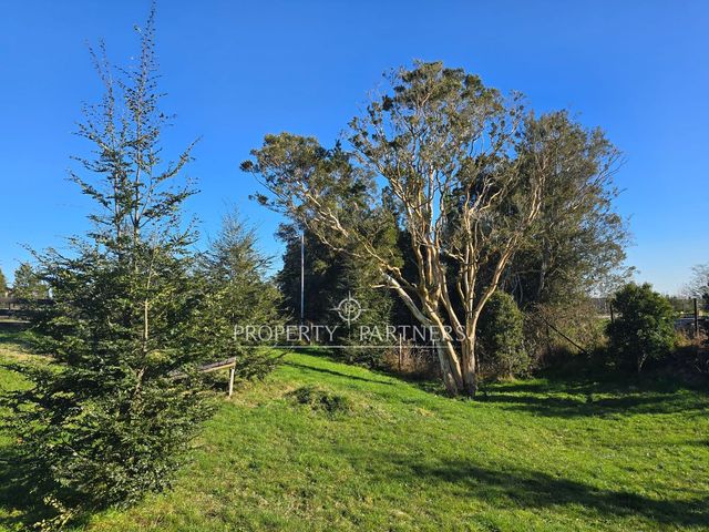 place photo 49