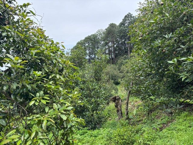 place photo 32