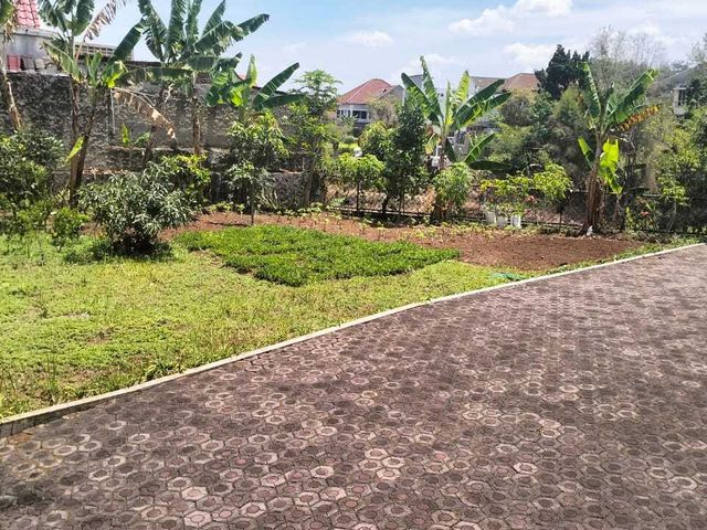 place photo 5