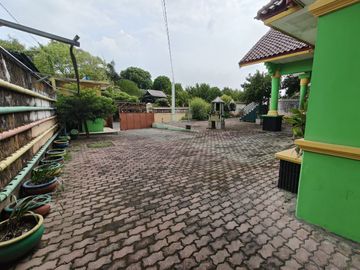 place photo 16