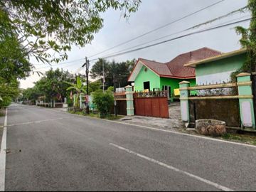 place photo 11