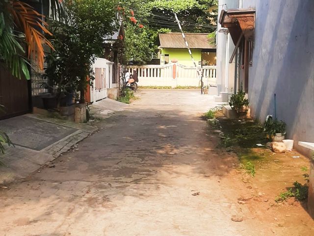 place photo 12