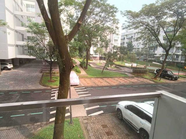 place photo 14