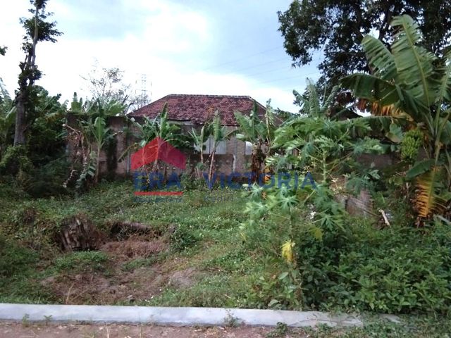 place photo 13