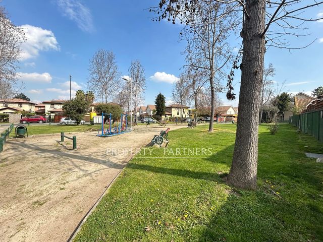 place photo 39