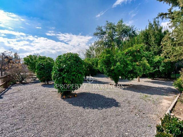 place photo 40