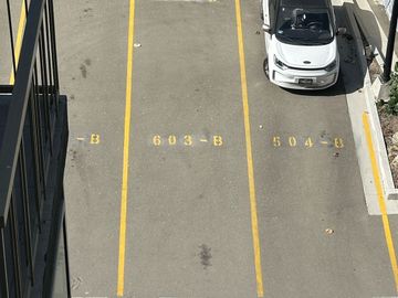 place photo 34