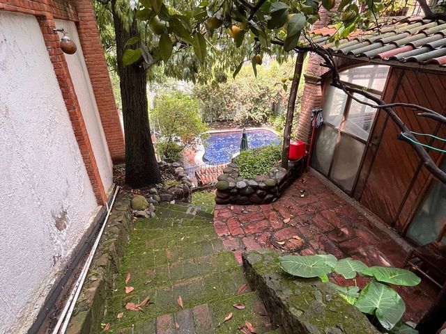 place photo 40