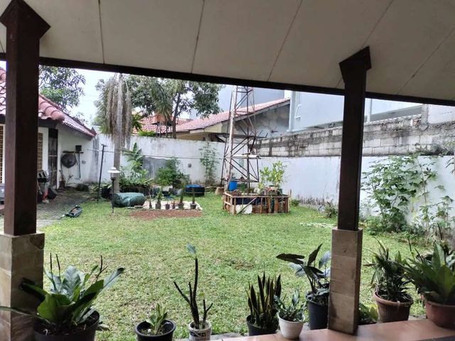 place photo 7