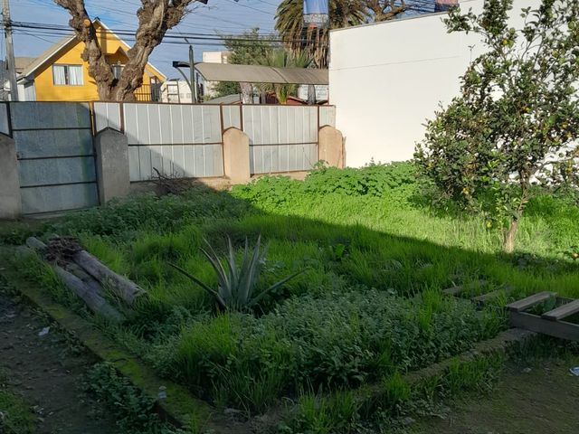 place photo 9