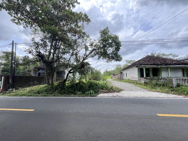 place photo 8