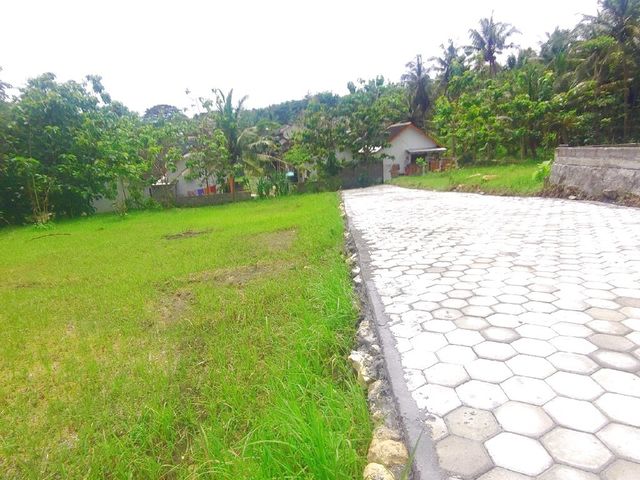 place photo 5