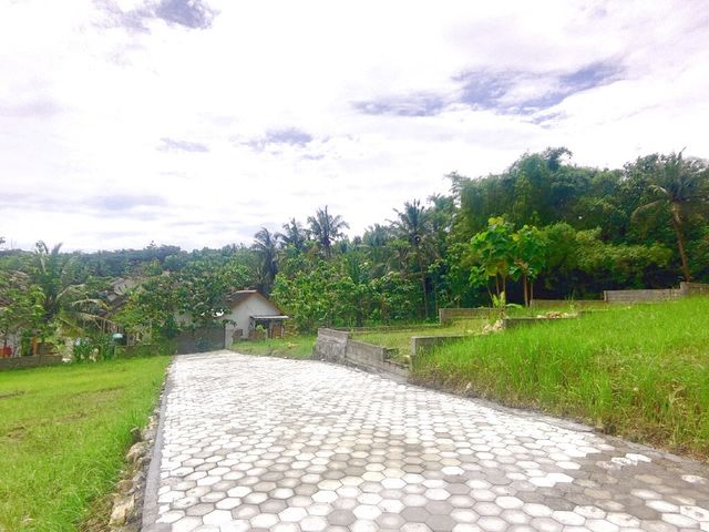 place photo 4