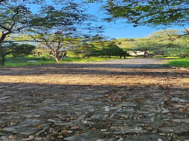 place photo 32