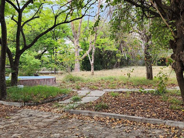 place photo 36