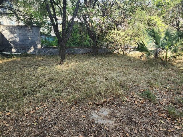 place photo 37