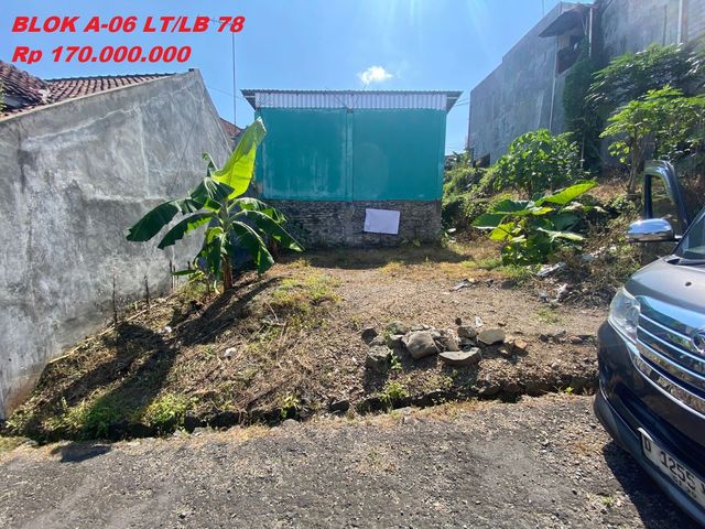 place photo 4