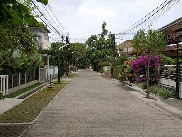 place photo 29