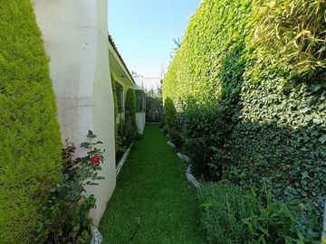 place photo 38