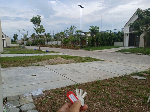 place photo 7