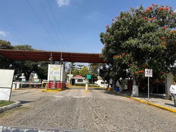 place photo 48