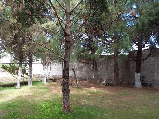 place photo 38