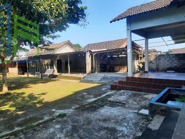 place photo 11