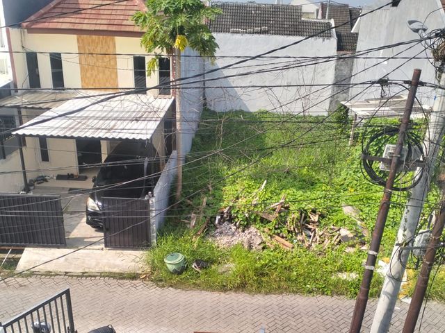place photo 12