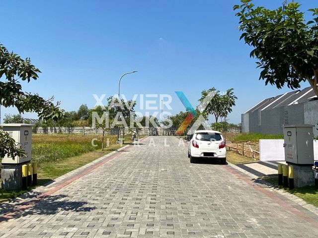 place photo 4