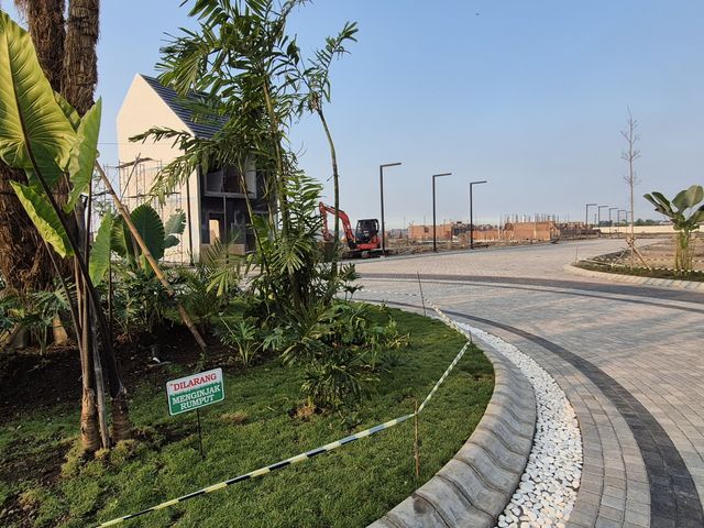 place photo 13
