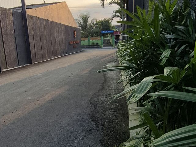 place photo 12