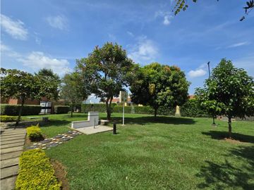 place photo 40