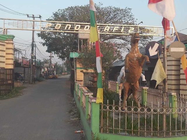 place photo 3