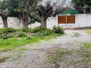 place photo 30