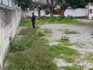 place photo 19